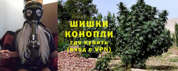 гашик Горно-Алтайск