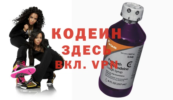 гашик Горняк