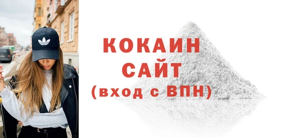 гашик Горняк