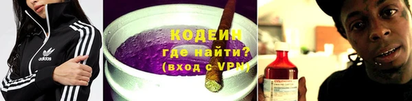 гашик Горняк