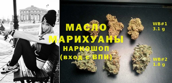 гашик Горняк