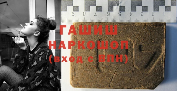 гашик Горняк