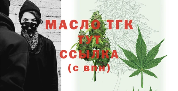 гашик Горняк