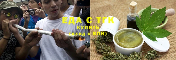 гашик Горняк