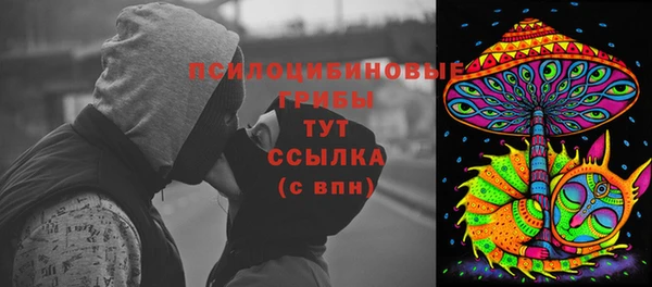 гашик Горно-Алтайск