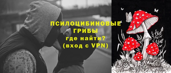 гашик Горно-Алтайск
