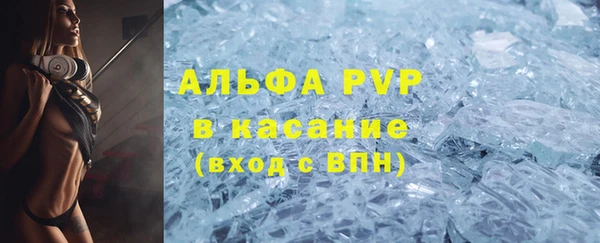 гашик Горняк