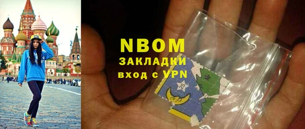гашик Горняк